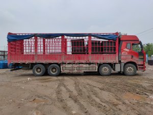 金用護(hù)欄2021年4月27日鋅鋼護(hù)窗欄桿發(fā)貨！